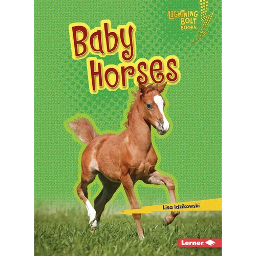 Baby Horses - Paperback