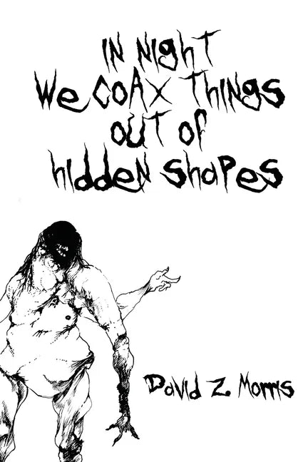 in night we coax things out of hidden shapes - Paperback