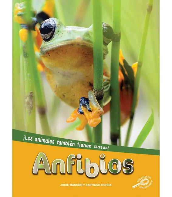 Anfibios: Amphibians - Paperback