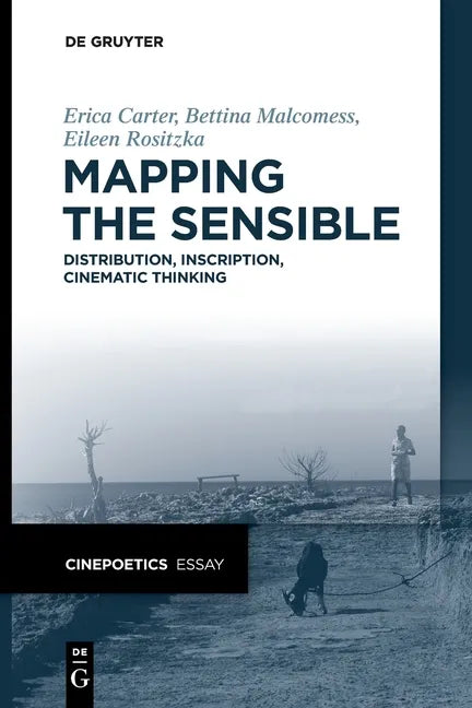 Mapping the Sensible: Distribution, Inscription, Cinematic Thinking - Paperback