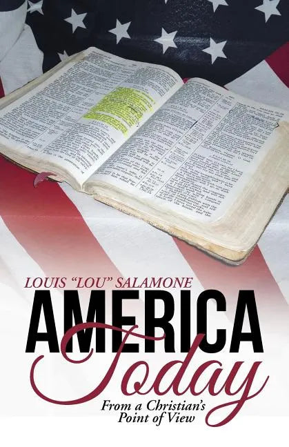 America Today: From a Christian's Point of View - Paperback