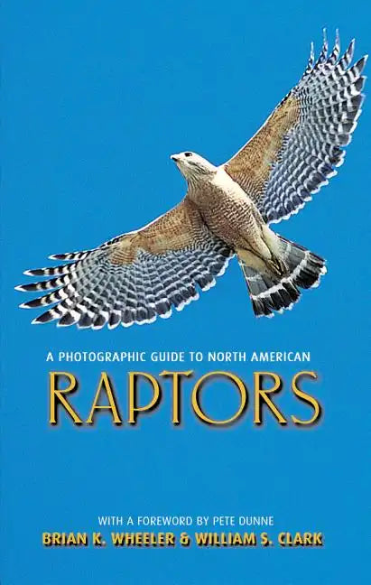 A Photographic Guide to North American Raptors - Paperback
