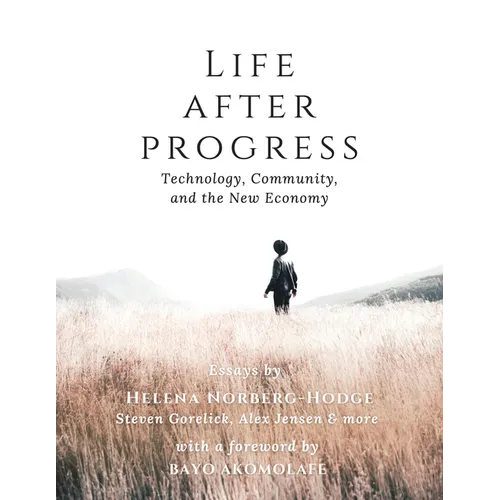 Life After Progress: Technology, Community, and the New Economy - Paperback