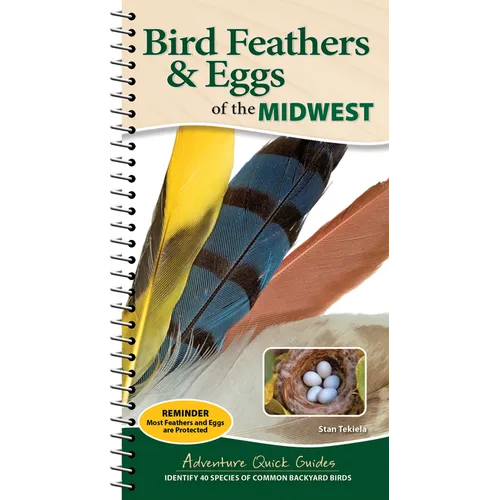 Bird Feathers & Eggs of the Midwest: Identify 40 Species of Common Backyard Birds