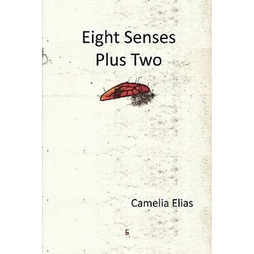 Eight Senses Plus Two - Paperback