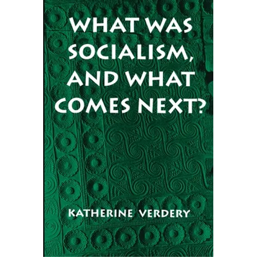 What Was Socialism, and What Comes Next? - Paperback