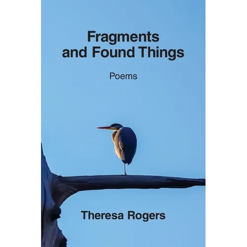 Fragments and Found Things - Paperback