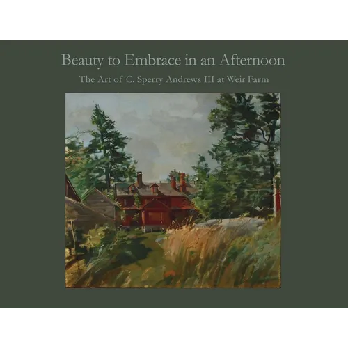 Beauty to Embrace in an Afternoon - Paperback