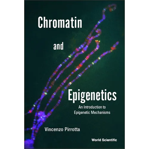 Chromatin and Epigenetics - Paperback