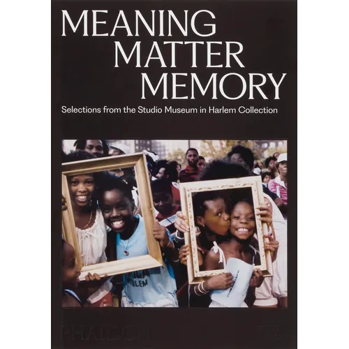 Meaning Matter Memory: Selections from the Studio Museum in Harlem Collection - Paperback