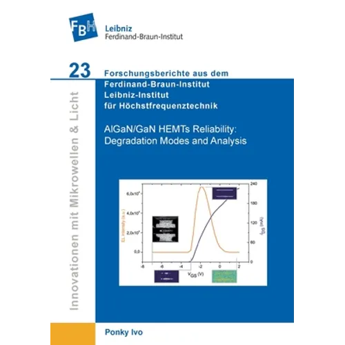 AlGaN/GaN HEMTs Reliability. Degradation Modes and Analysis
