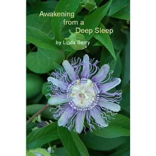 Awakening From A Deep Sleep - Paperback