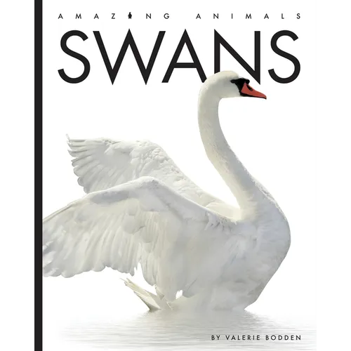 Swans - Paperback