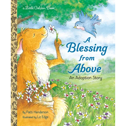 A Blessing from Above: An Adoption Story - Hardcover