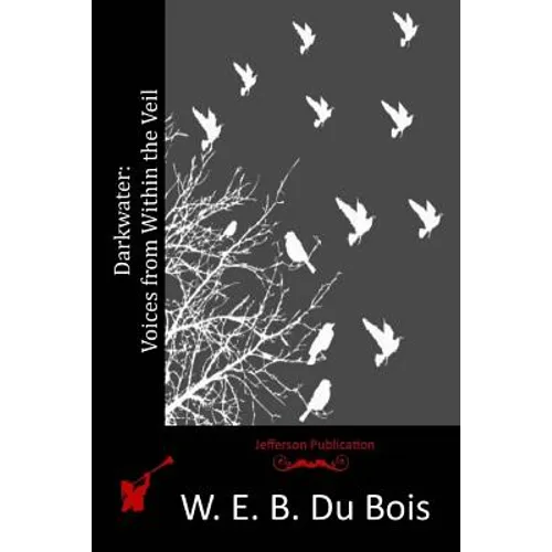 Darkwater: Voices from Within the Veil - Paperback