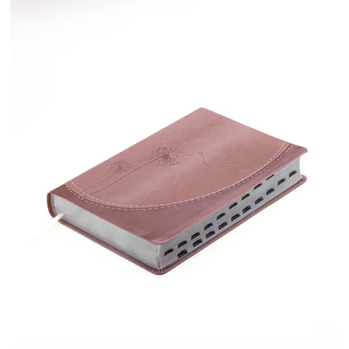 Biblia Para Mujeres Reina Valera 1960 - de Promesas Inspira Letra Gigante (13 Pts) Piel Especial Con Índice Rosa Dorado Spanish Promise Bible with Ind - Imitation Leather