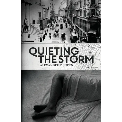 Quieting the Storm - Paperback