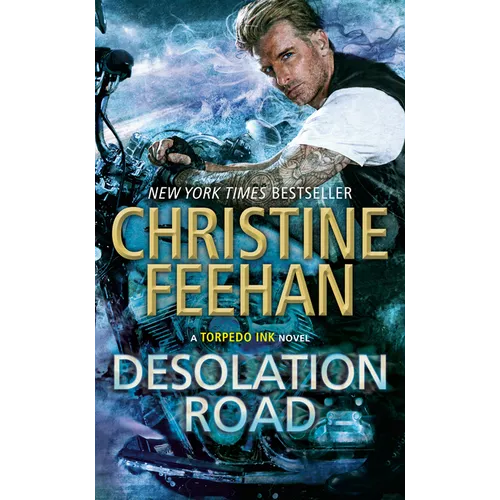 Desolation Road - Paperback