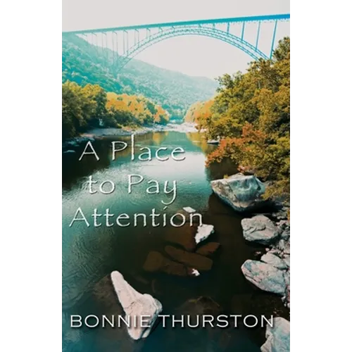 A Place to Pay Attention - Paperback