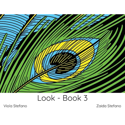 Look - Book 3: VI - Paperback