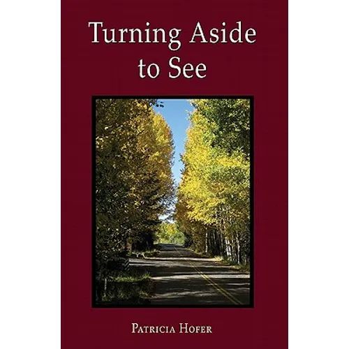 Turning Aside to See - Paperback