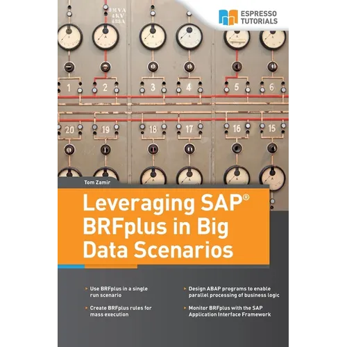 Leveraging SAP BRFplus in Big Data Scenarios - Paperback