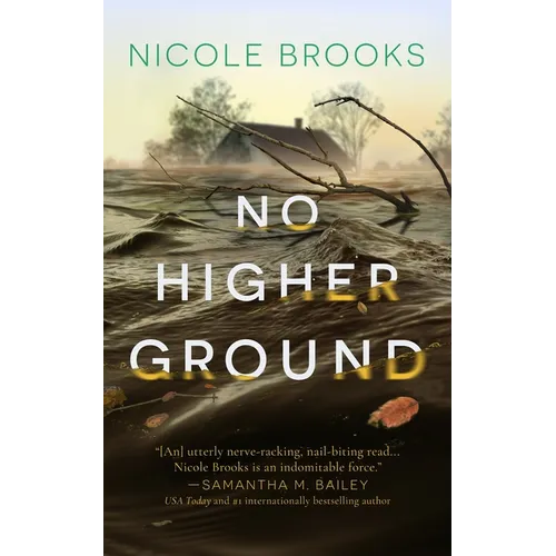 No Higher Ground - Hardcover