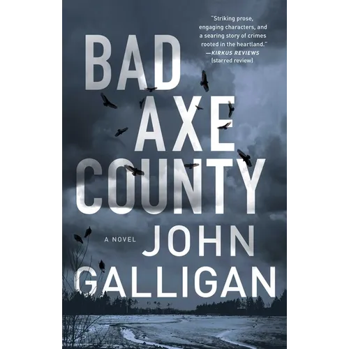 Bad Axe County - Paperback