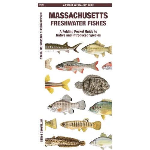Massachusetts Freshwater Fishes: A Folding Pocket Guide to Native and Introduced Species - Paperback