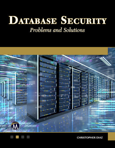 Database Security: Problems and Solutions - Paperback