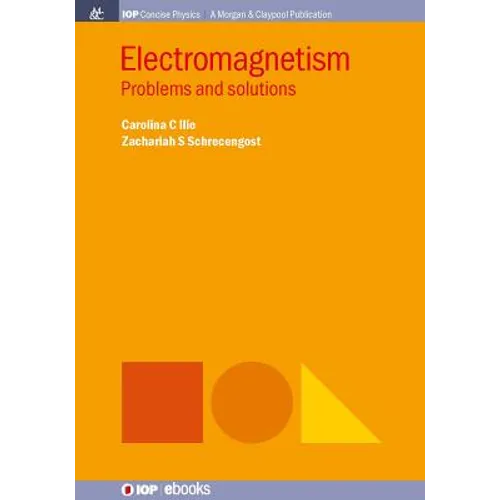 Electromagnetism: Problems and Solutions - Paperback