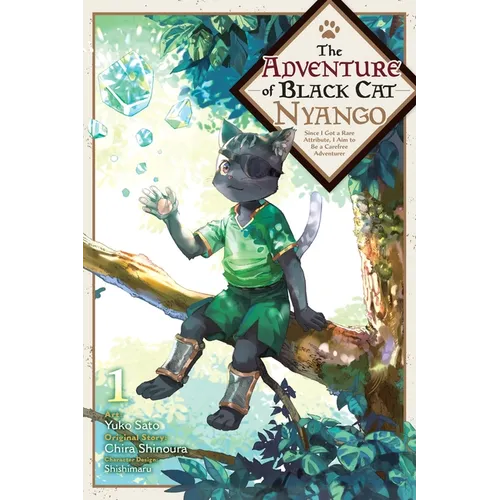 The Adventure of Black Cat Nyango, Vol. 1: Since I Got a Rare Attribute, I Aim to Be a Carefree Adventurer Volume 1 - Paperback