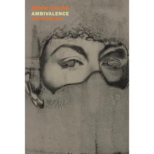 Ambivalence: An Education - Paperback