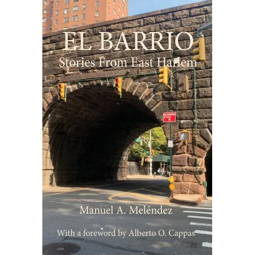 El Barrio: Stories From East Harlem - Paperback