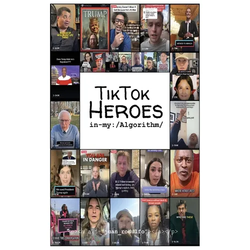 TikTok Heroes: In my Algorithm - Paperback