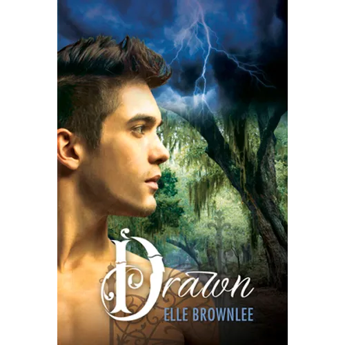 Drawn - Paperback