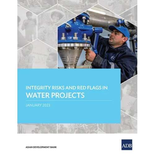 Integrity Risks and Red Flags in Water Projects - Paperback