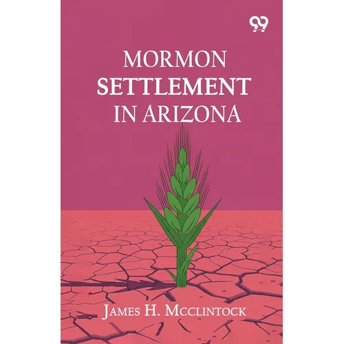 Mormon Settlement In Arizona - Paperback
