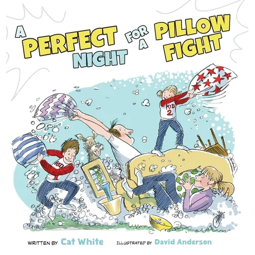 A Perfect Night for a Pillow Fight - Hardcover
