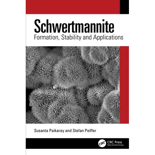 Schwertmannite: Formation, Stability and Applications - Paperback