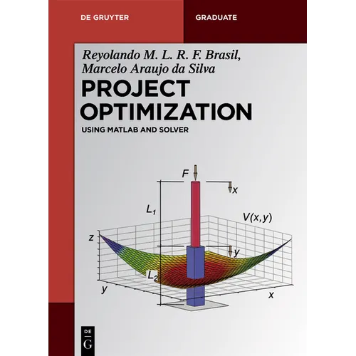 Project Optimization: Using MATLAB and Solver - Paperback