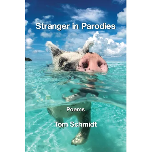 Stranger in Parodies - Paperback