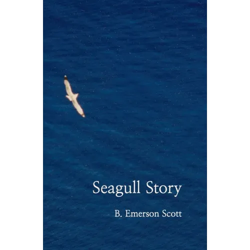 Seagull Story - Paperback