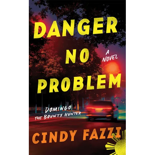 Danger No Problem - Paperback