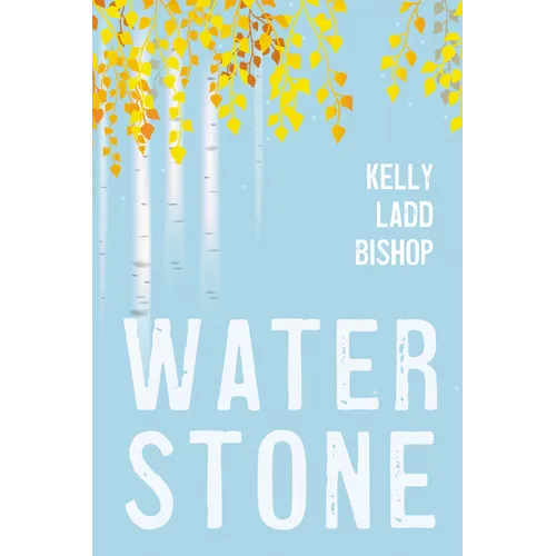 Water Stone - Paperback