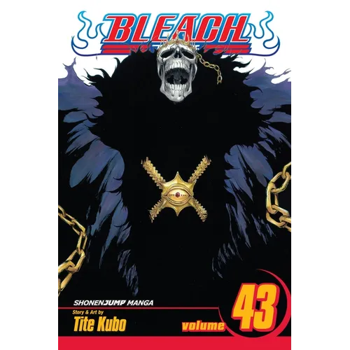 Bleach, Vol. 43: Kingdom of Hollows - Paperback