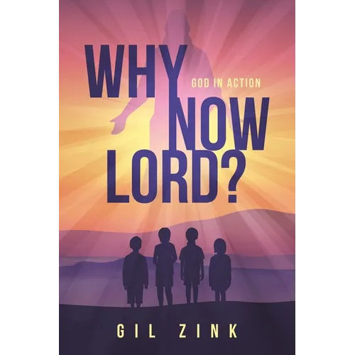 Why Now Lord?: God in Action - Paperback