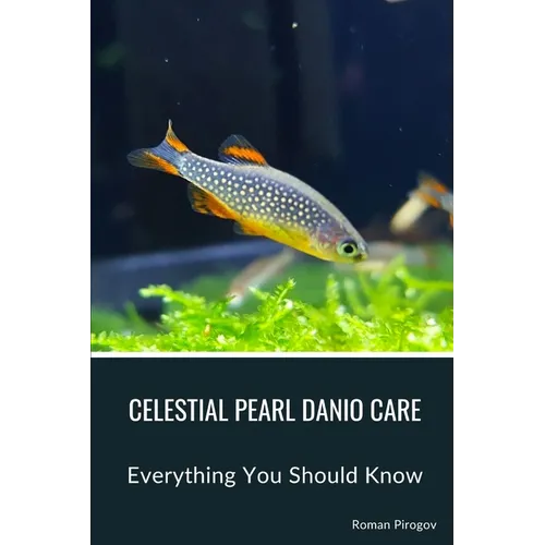 Celestial Pearl Danio Care: Everything You Should Know - Paperback