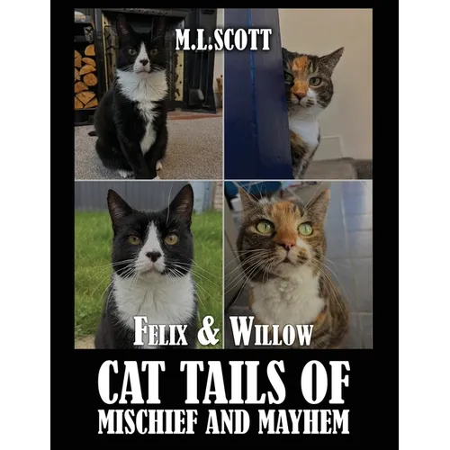 Felix & Willow cat tails of mischief and mayhem - Paperback