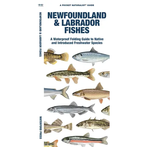 Newfoundland & Labrador Fishes: A Folding Guide to Native and Introduced Freshwater Species - Paperback